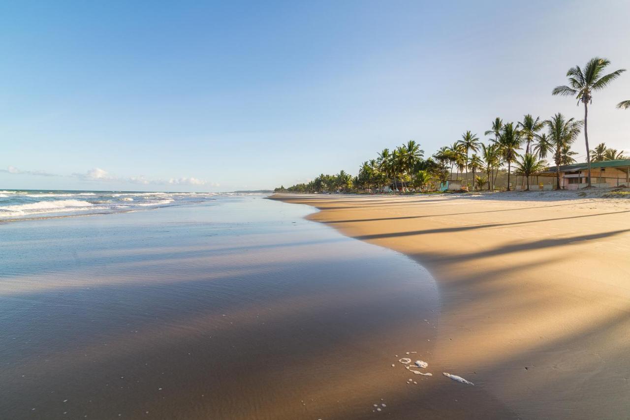 Belissimo Apto A 500M Praias Do Sul Ilhéus Eksteriør billede